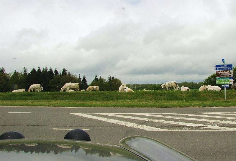 1st Belgian Octagon Tour - dag2 (137).JPG